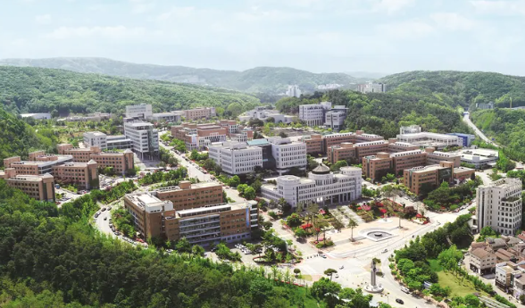 용인시 교육, 대학교, 캠퍼스, 학교